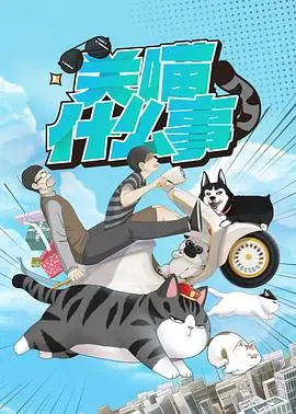 爆笑来袭！《关喵什么事》：当猫咪掌控世界，人类还能Hold住吗？